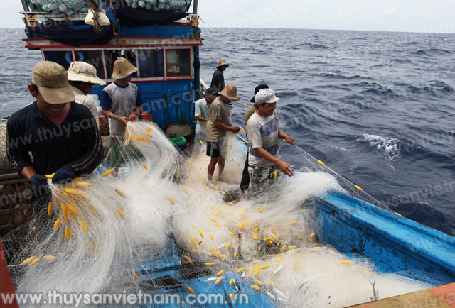 Central province gives VND408 billion in assistance for fishermen’s shipbuilding